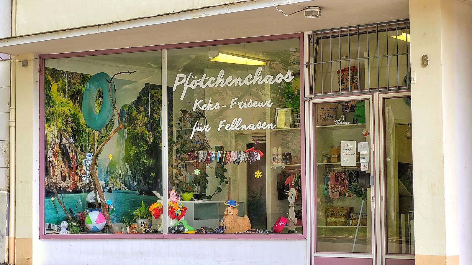 Schaufenster-Dekoration mit Hundezubehör